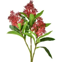 Viana Kunstbloemen Rood Skimmia japonica Skimmie 45cm 2st