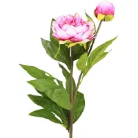 Viana Pioenrozen Kunstbloemen met lange steel Roze 70cm 3st