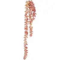 Viana Sedum 'Rubin' hangplant – decoratieve, onderhoudsvriendelijke vetplant