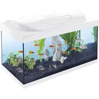 Tetra aquarium starterline wit day/night 54ltr