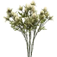 Viana Distel kunsttak creme 10 bloemhoofdjes 68cm 3st, 3 Stück