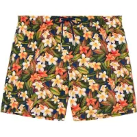 Hom Zwemshorts ' Beach Boxer Etna ' beige / groen / oranje