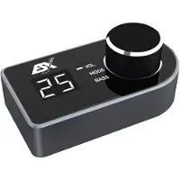 ESX RC-DQ remote controller met LCD display voor DSP