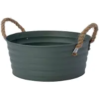 Intratuin Plantenteil Guus Groen D 26 H 11 Cm