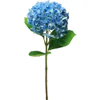 Viana Kunstbloemen decoratie hortensia kunst blauw 69cm