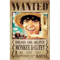 Grupo Erik One Piece - Poster - Piraten - manga - Anime - 61 x 91,5 cm