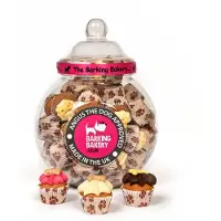 The barking bakery 45 st voorraadpot mini iced woofins