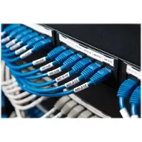 Dymo Etiket 1868705 Zwart op wit