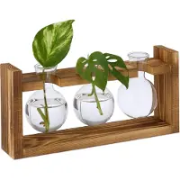Relaxdays stekstation - bolvormige stek vaasjes met houten rekje - 13 x 28 x 6,5 cm