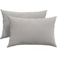 vidaXL Zitkussens 2 st Stof Lichtgrijs 60 x 40 cm