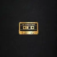 Import BEST 25TH ANNIVERSARY (BLACK VINYL)