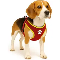Flamingo Harnas hond – honden tuigje – harnas hond anti trek – hondentuigjes – hondentuig anti trek – Step&Go Tasha – rood – maat M – A:53cm B:65-75cm x 20mm x 5mm
