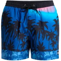 Quiksilver - Everyday Printed Volley 15'' - Zwembroek XXL, blauw