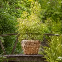 Van der leeden Drypot abaca d65h50cm