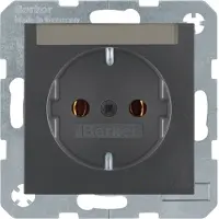 Berker 47501606, Type F, DIN-rail, Anthraciet, Thermoplastisch, IP20, 250 V