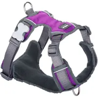 Red Dingo Padded Hondenharnas