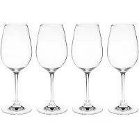 Scandi Living Karlevi rodewijnglas 4 stuks 45 cl