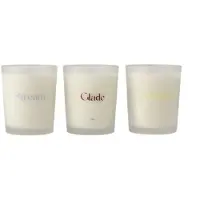 Scandi Living Cadeauverpakking geurkaars 70g 3-pack Stream/Glade/Meadow