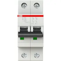 ABB S202-D16 Automatische stroomonderbreker 2-polig