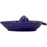 Nicolas Vahé Citrus Citroenpers Blauw - Citruspersen Steengoed Blue - 900001489