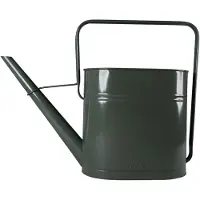 ERNST gieter Tuin, saliegroen, 9 L