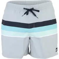 Quiksilver Zwemshorts 'EVERYDAY VOLLEY' lichtblauw / lichtgrijs / lichtgroen / zwart