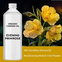 AW Gifts Biologische teunisbloemolie 1 liter