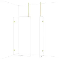 Maxaro Diamond Inloopdouche | 100x50 cm Glanzend lichtgoud Helder glas 2 vaste wanden
