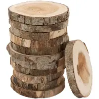 Colorations houten schijfjes knutselset 8-10cm 12 stuks creatief speelgoed.