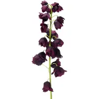 Viana Levensechte replica van Fritilaria voor elegante bloemstukken en boeke