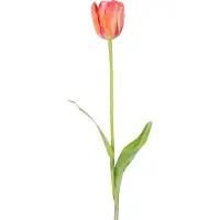 Easyplants | Kunstbloem Franse Tulp 63 cm oranje | Zijde | Nepbloemen | oranje | Onderhoudsvrij | Kant-en-klaar