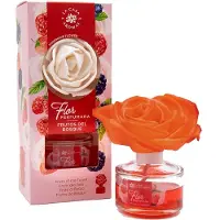 La Casa de los Aromas Luchtverfrisser Bosvruchten 65 ml