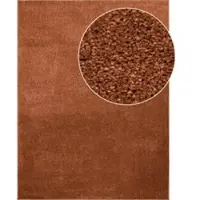 Tapis.fr Tapijt Portivo koper 160x220 cm