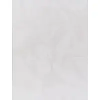 Tapis.fr Zacht kleed Solina wit 240x340 cm