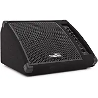 SubZero 200W 10" Active Floor Monitor