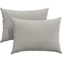 vidaXL Zitkussens 2 pcs Lichtgrijs 70 x 50 cm Stof