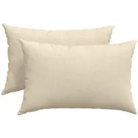 vidaXL Zitkussens 2 st Stof Crème 60 x 40 cm