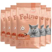 Hobby First 6x Kattenvoer Droog Adult Zalm 1,5 kg