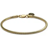 Lucleon Essentials | 3 mm Goudkleurige Armband met Slangenschakels
