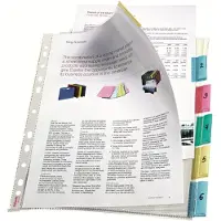 Esselte Premium Index Showtas A4 - 11-gaats - PP met 6 Tabs - Transparant