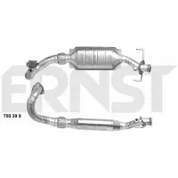ERNST 755399 Katalysator