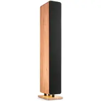 Audizio Arco HiFi speaker met DAB radio - Vloerstaande speaker met 4