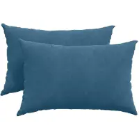 vidaXL Zitkussens 2 pcs Blauw 60 x 40 cm Corduroy stof