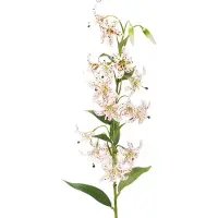 Viana Kunstmatige lelie als bloemstengel voor een elegante en onderhoudsvrie