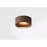 Artdelight Badkamer Plafondlamp Oran Ø 12cm Brons Geborsteld
