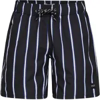 Blend Zwemshorts ' BHRick ' zwart