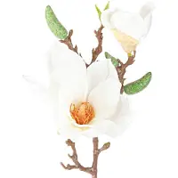 Viana Magnolia Witte Kunstbloemknoppen Decoratie Tak H40cm 2st