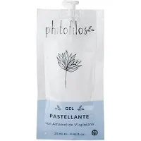 Phitofilos 2 stuks Biologische gel voor henna kleuren en poeders te verdikken - egale paste 2x25gr