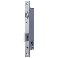 Mauer Rolslot Met Profielcilindergat 4615 30 mm rvs Ls/Rs