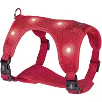 Nobby Tuig Flash Mesh - Rood - S - Borstband 28-35 cm - Buikband 35-45 cm